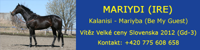 Mariydi